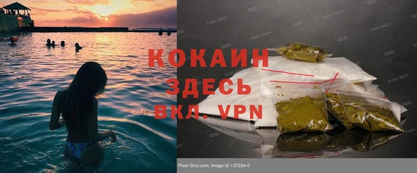 mdpv Щигры
