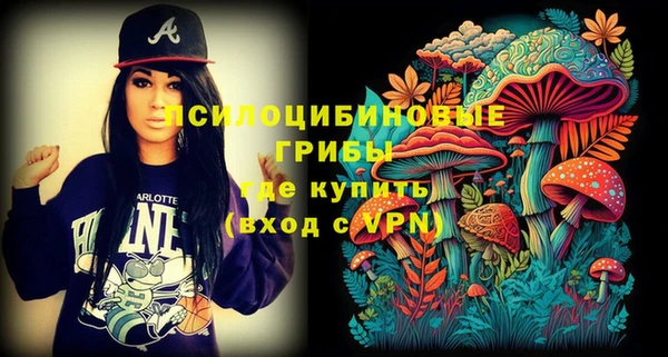 экстази Арсеньев