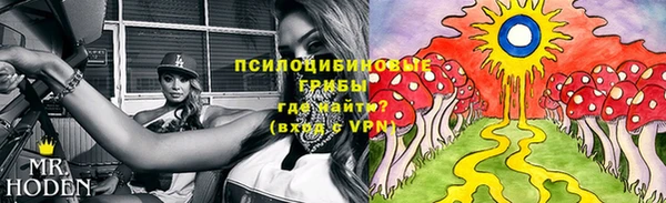 герыч Алексин